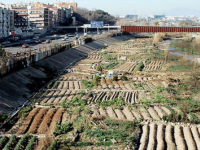 Economia Democràtica, la revolució social del Segle Economia Democràtica, la revolució social del Segle