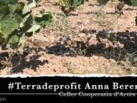 Vídeos de Terra de Profit, una col·lecció de Gedi Media Vídeos de Terra de Profit, una col·lecció de Gedi Media