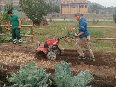 formacio hort es de totes