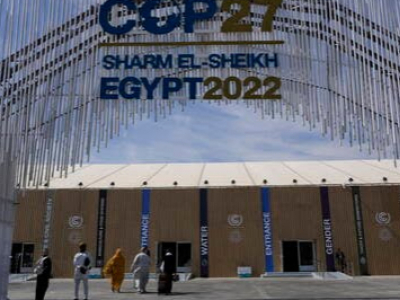 Gedi presenta a Egipte el seu impuls en medi ambient i emprenedoria femenina
