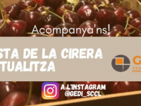 Divendres 26 de juny: La Festa de la Cirera a l'Instagram de Gedi! Divendres 26 de juny: La Festa de la Cirera a l'Instagram de Gedi!