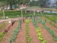 Hort al CREI Castanyers Hort al CREI Castanyers